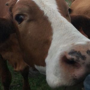 Meet your Posher, Erica